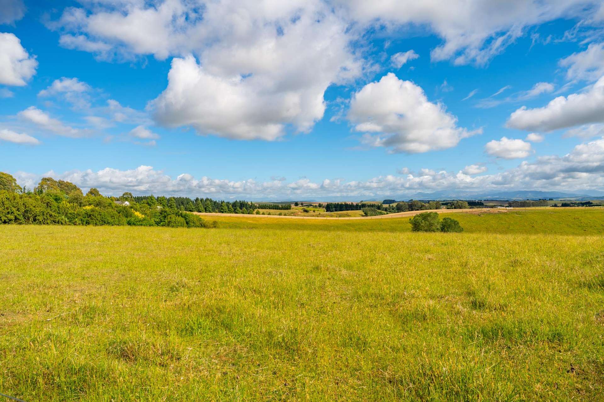 Rolling Ridges Road Timaru_0