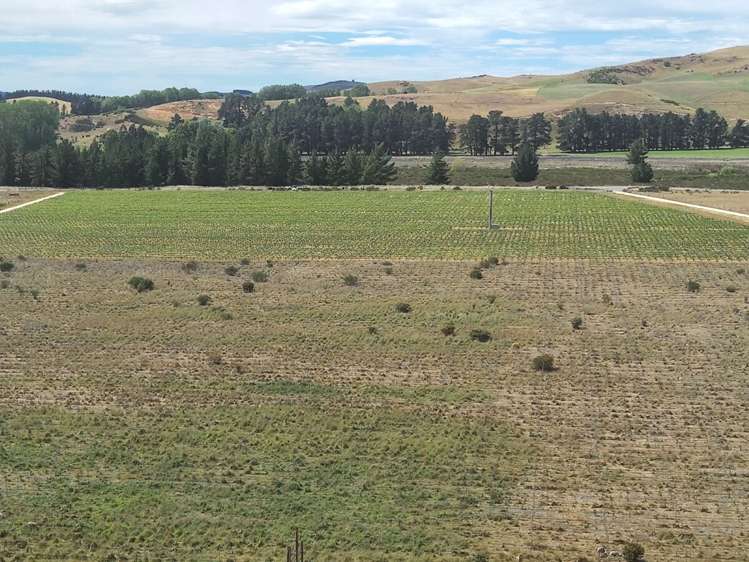 Grants Road Kurow_9