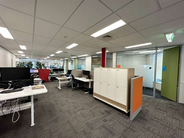 101 Carlton Gore Road Newmarket_4