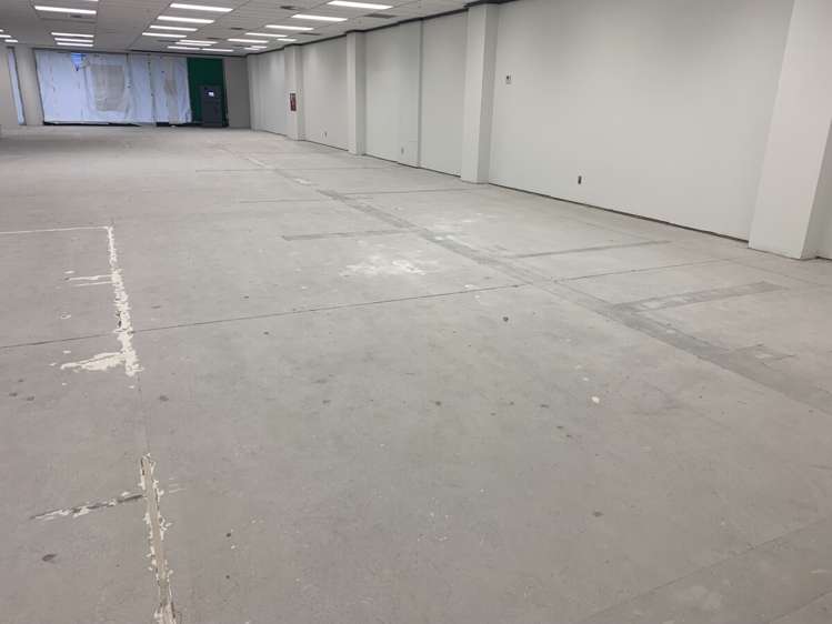 65 Clyde Road Browns Bay_10