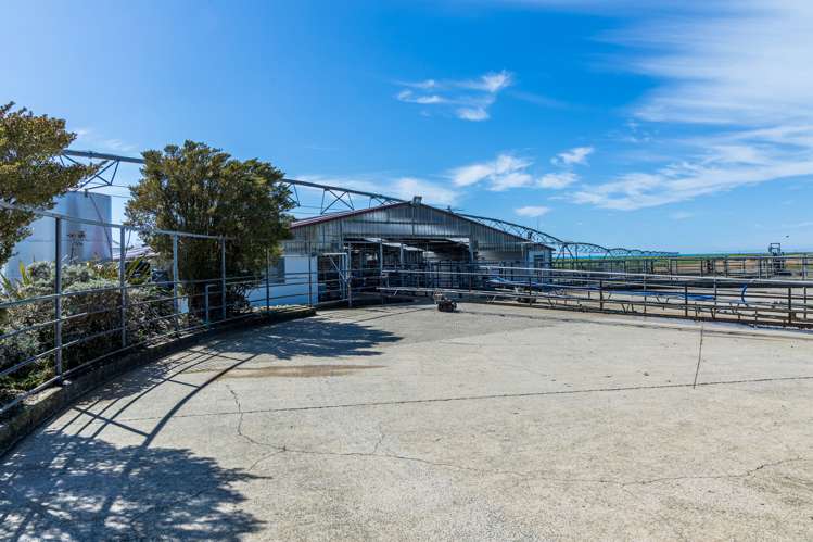 310 Morris Road Morven_7