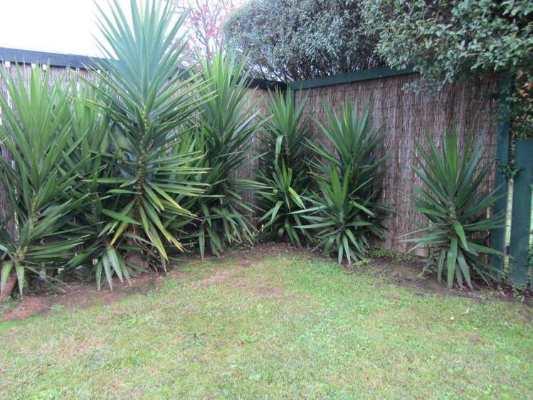 51 Waingaro Road Ngaruawahia_11