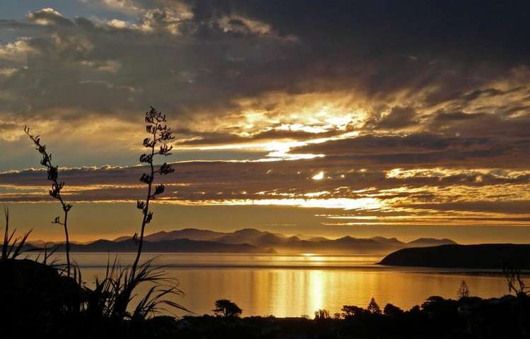31 Rothwell Street Titahi Bay_19
