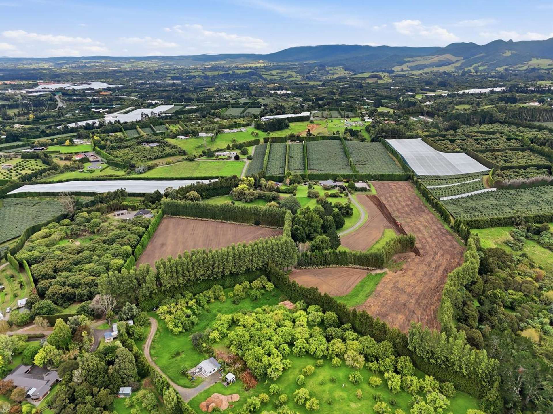 58 Rawaka Drive Katikati_0