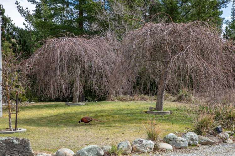 110 Letts Gully Road Alexandra_28