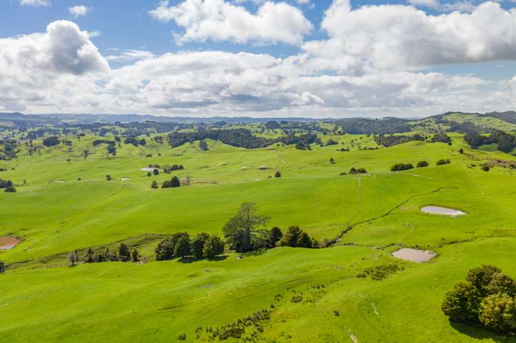 Inkster Road Maromaku_7