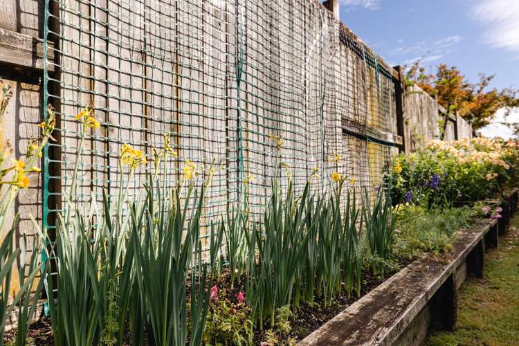 28 Saint Andrews Drive Bethlehem_14