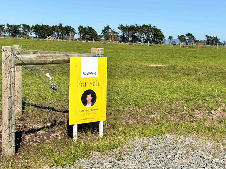 1169 Motu Rimu Road Motu Rimu_7