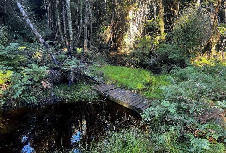 378A Kumara Junction Highway Arahura Valley_17