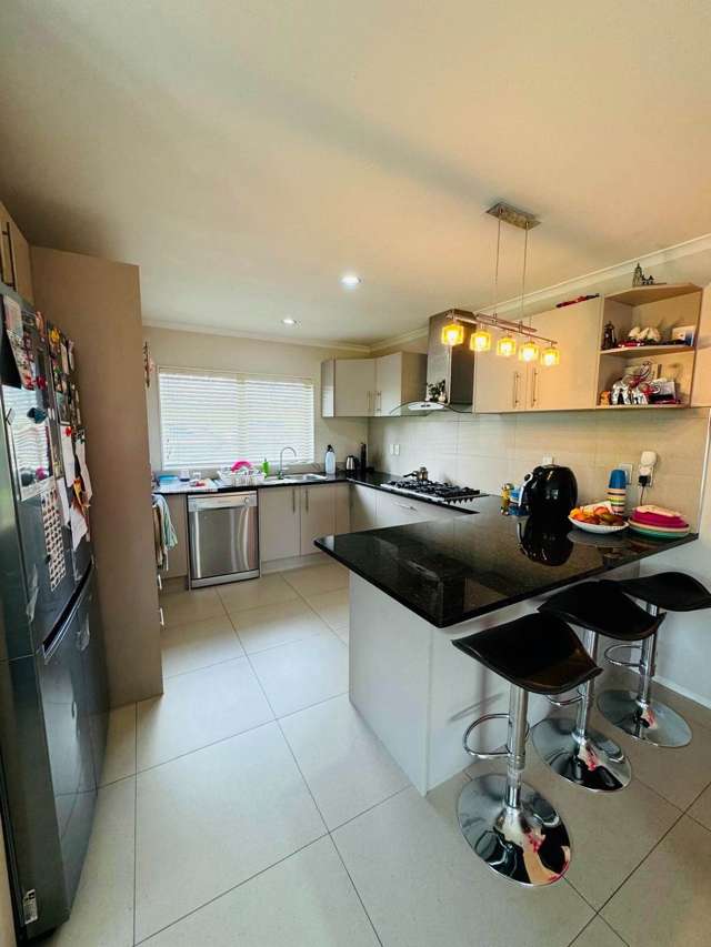 262 Murphys Road Flat Bush_2