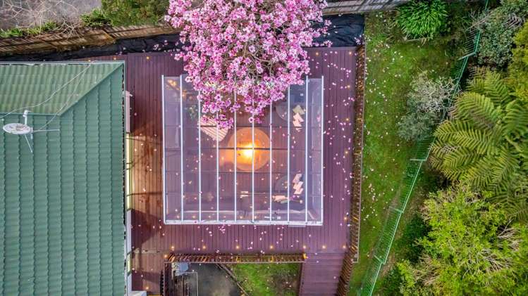 56 Palomino Drive Henderson_20