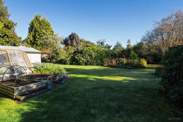 High Street, Woodbury Geraldine_1