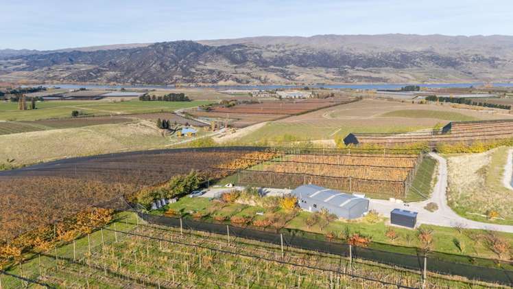 41 Cooper Lane Mount Pisa_18