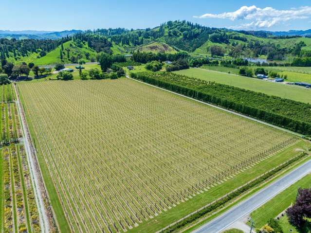 Ngakoroa Road Ormond_1