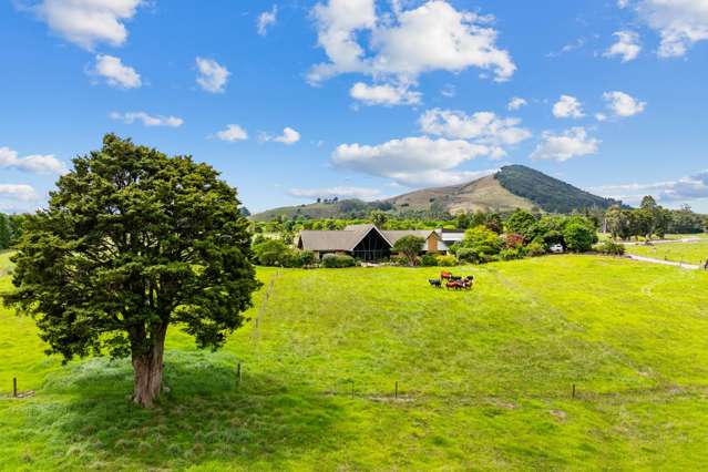 992 State Highway 14 Maungatapere_4