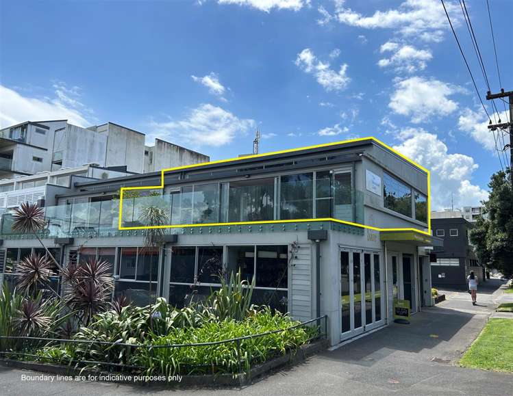 41C Crummer Road Grey Lynn_1