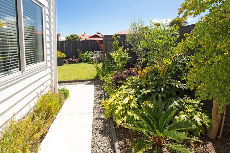 67 Nautilus Drive Gulf Harbour_16