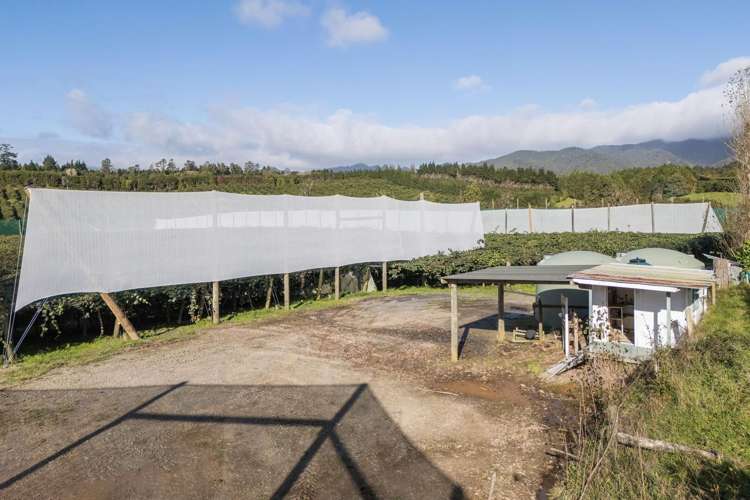 175 Busby Road Katikati_10