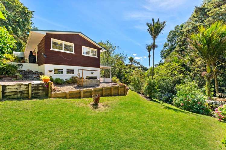 260 School Road Waimauku_3