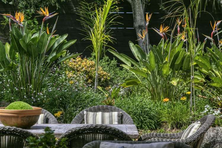 218 Rangi Avenue Whangamata_26