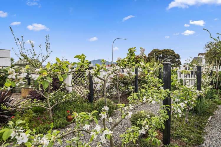 44 Robertson Street Glenholme_21