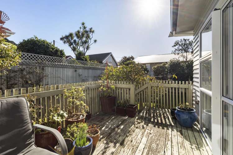 7 Pinnacle Street Seatoun_5