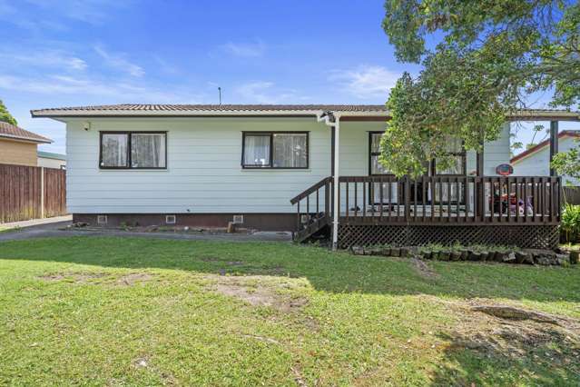 113 Finlayson Avenue Clendon Park_2