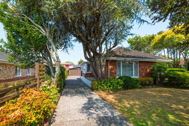 3 Carlie Street Papatoetoe_3