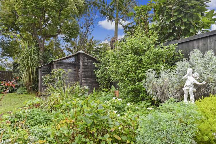 16 Ascot Avenue Narrow Neck_12