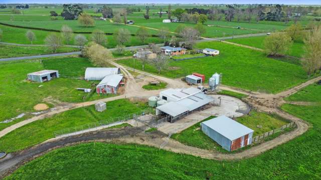 63 Harbottle Road Morrinsville_3