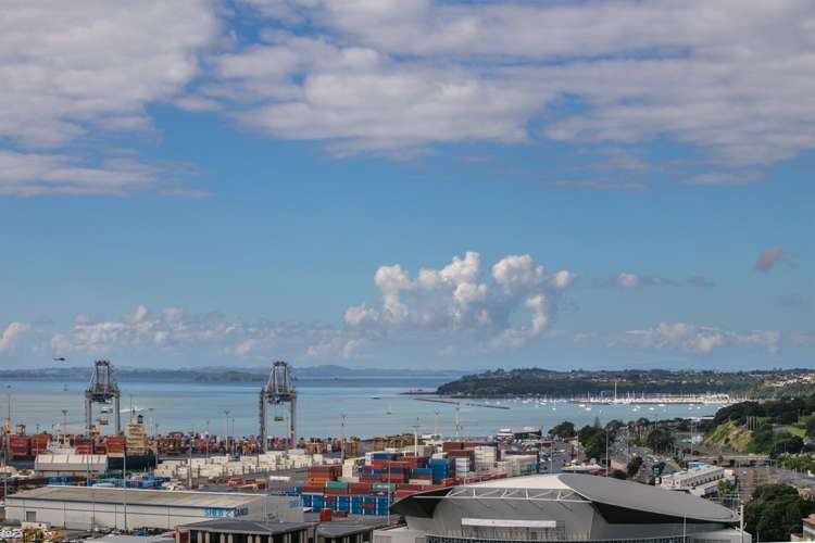 14f/2 Eden Crescent Auckland Central_8