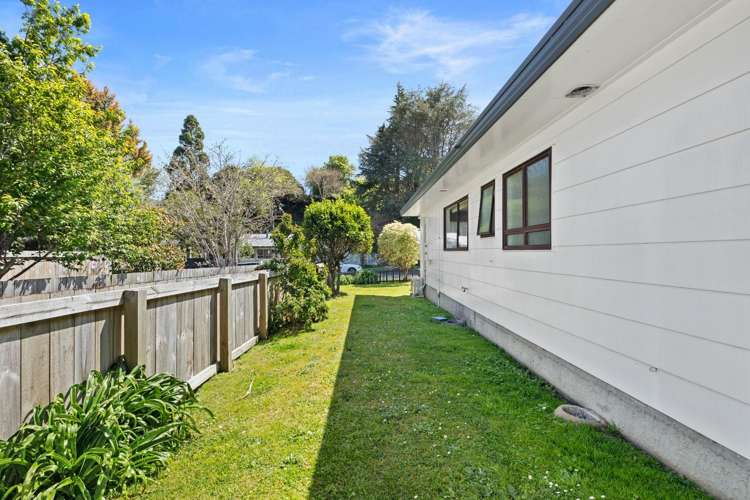 129 Princess Road Bellevue_11