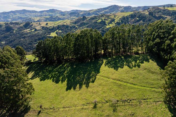 82 Purple Peak Road Akaroa_24