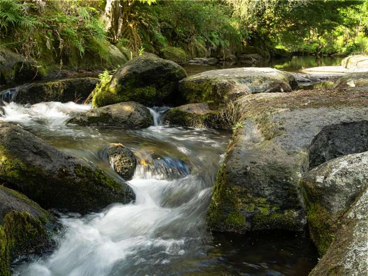 210 Wainui South Road Whakamarama_1