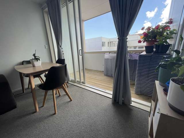 BL2FA-1/127 Newton Road Eden Terrace_2