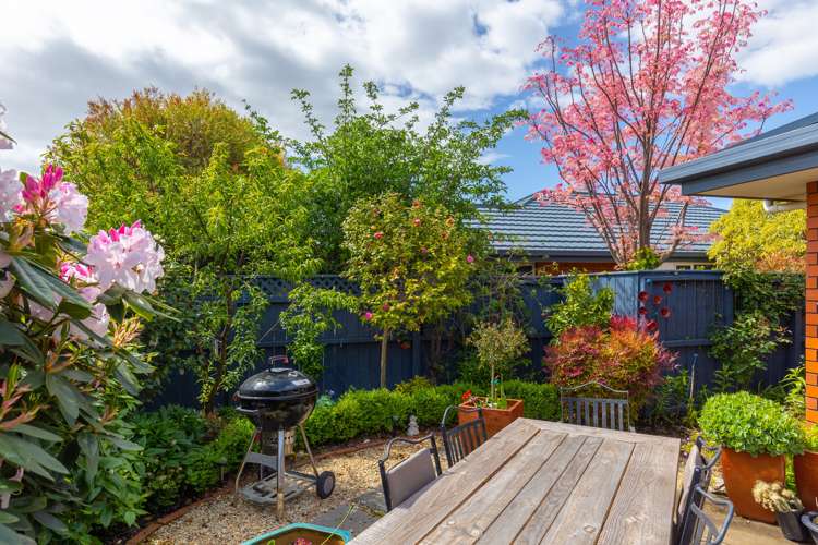 12c Carvell Street Blenheim Central_16