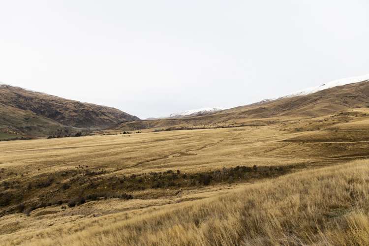 Cardrona Valley Road Little Meg_7