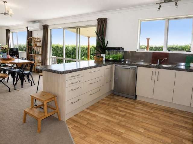 73 Buller Road Reefton_2