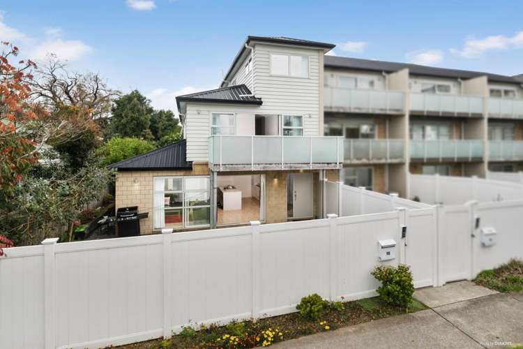 1e Bollard Avenue Mount Albert_15