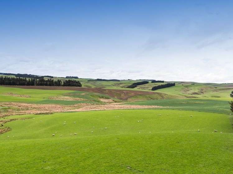 1680 Mahinerangi Road Waipori_10