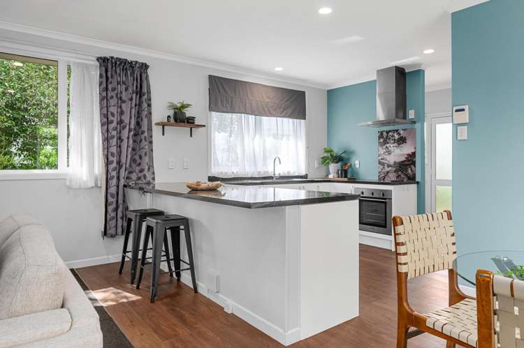 76 Nixon Street Hamilton East_2