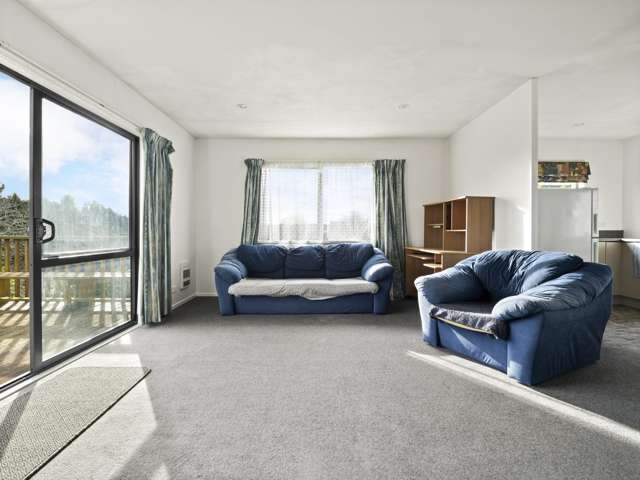 71 Ronaldsay Street Palmerston_2