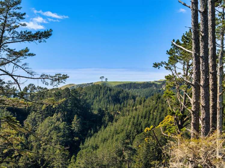 225 Rocky Cutting Road Papamoa_27
