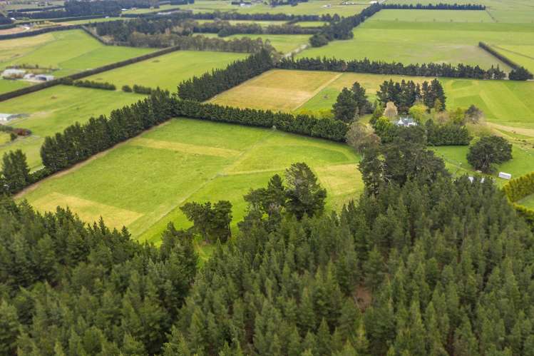 570 Birch Hill Road Okuku_5