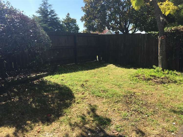 24 Marewa Road Greenlane_15