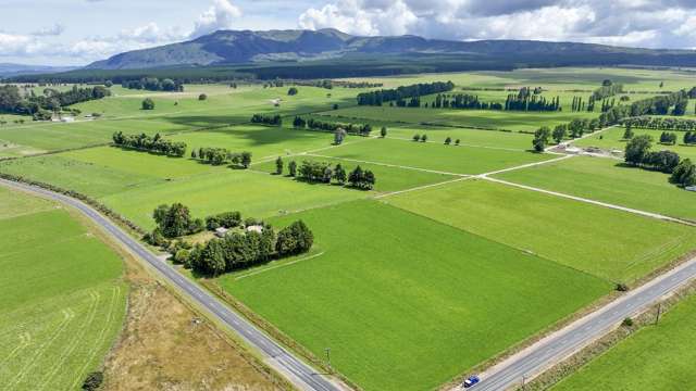 62 Ngamotu Road Rerewhakaaitu_3