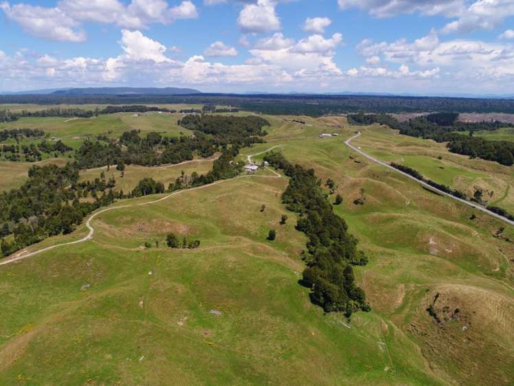 627 South Road Mamaku_16