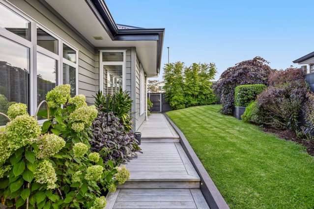 39 Manuel Road Silverdale_4