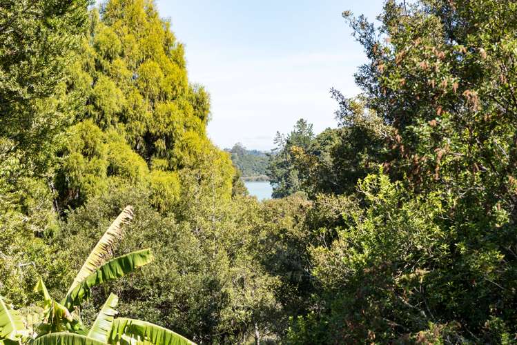 23 Scoresby Street Opua_21