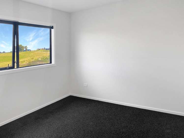 264 Korimako Drive 11385_19